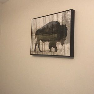 Buffalo wall art